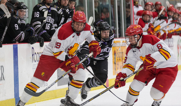 Late Comeback By Ferris State Comes Up Short In One-Goal Loss To Nation's Top-Ranked Team
