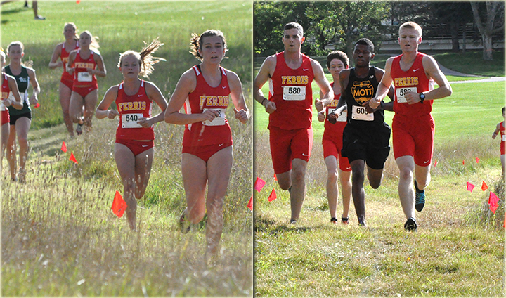 Ferris State Cross Country Teams Run To High Finishes At Augustana Invite