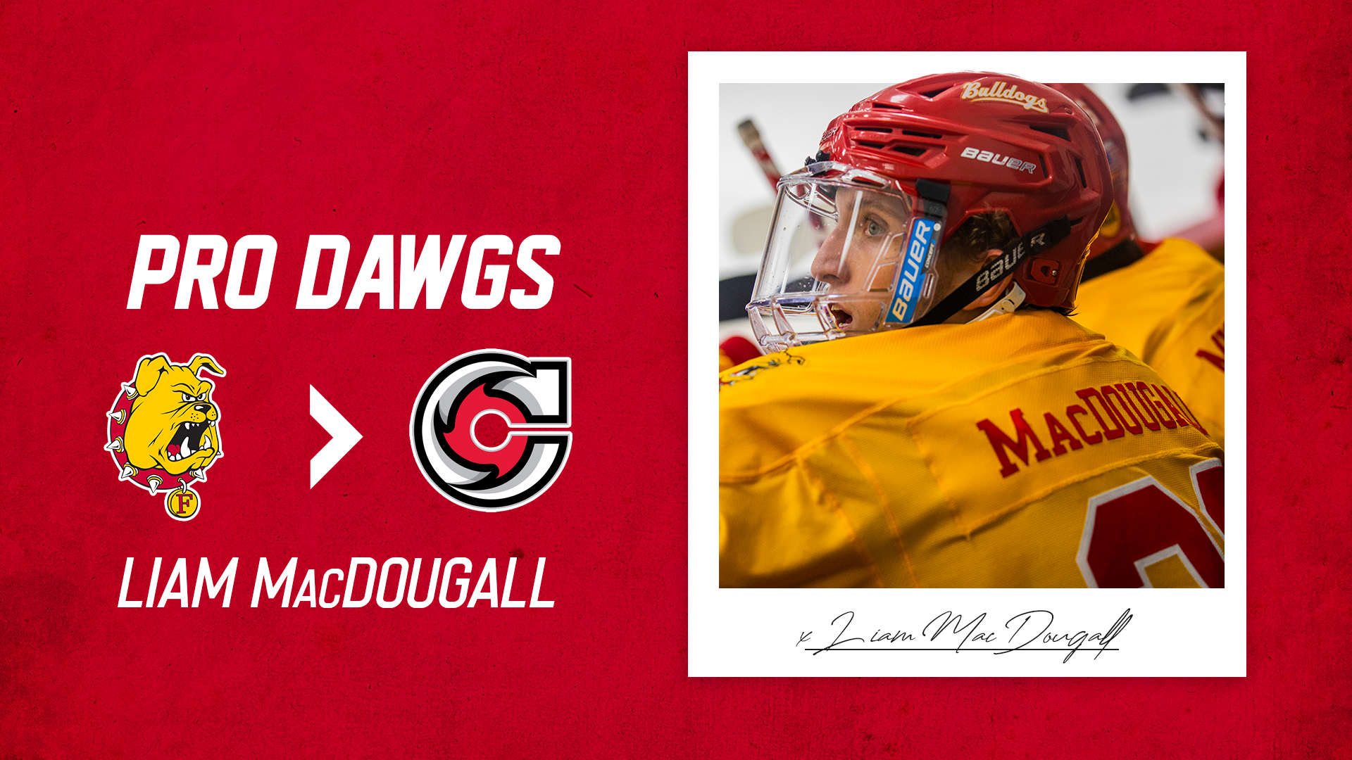 Two-Year Captain MacDougall Signs With Cincinnati in ECHL