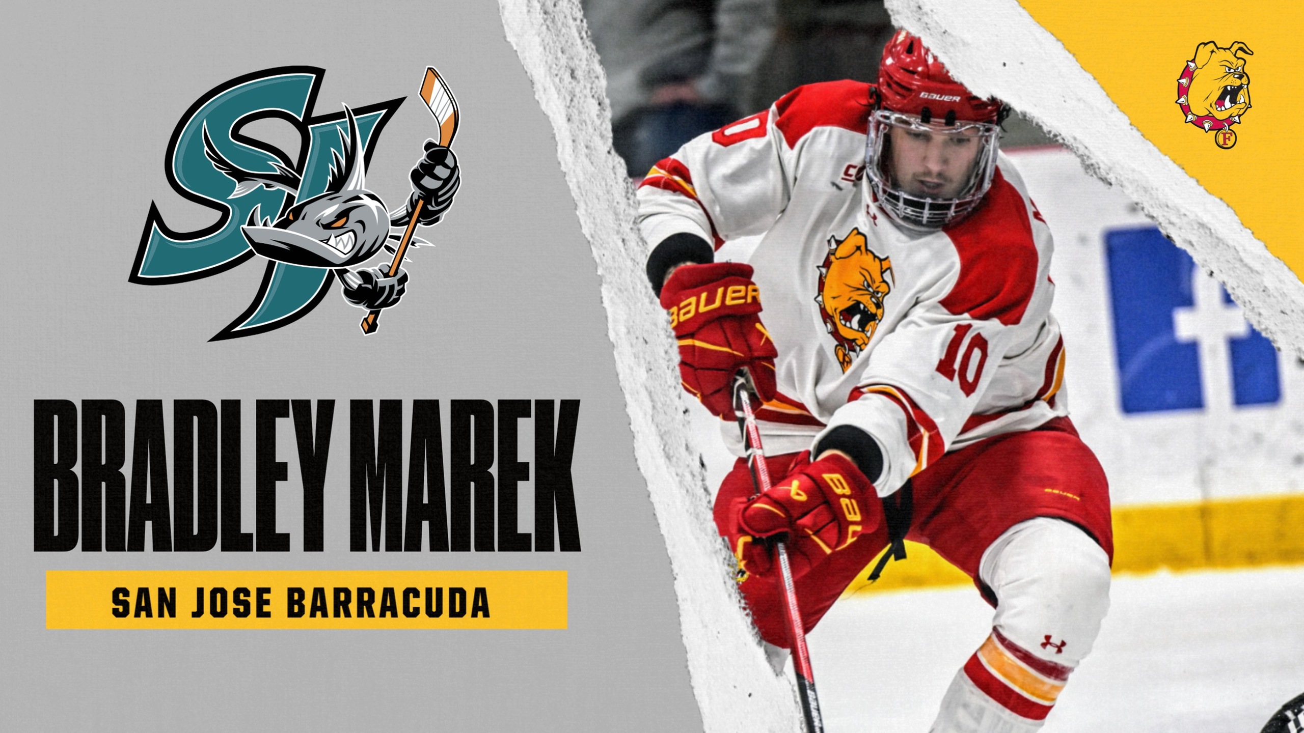 Ferris State's Bradley Marek Signs AHL Contract With San Jose Barracuda