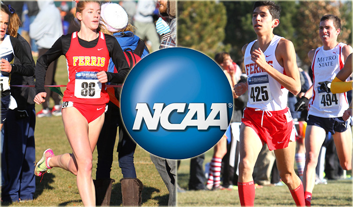 IMPRESSIVE DAY: Men's Cross Country Takes 10th & Johnson 5th In Women's Race At NCAA Nationals