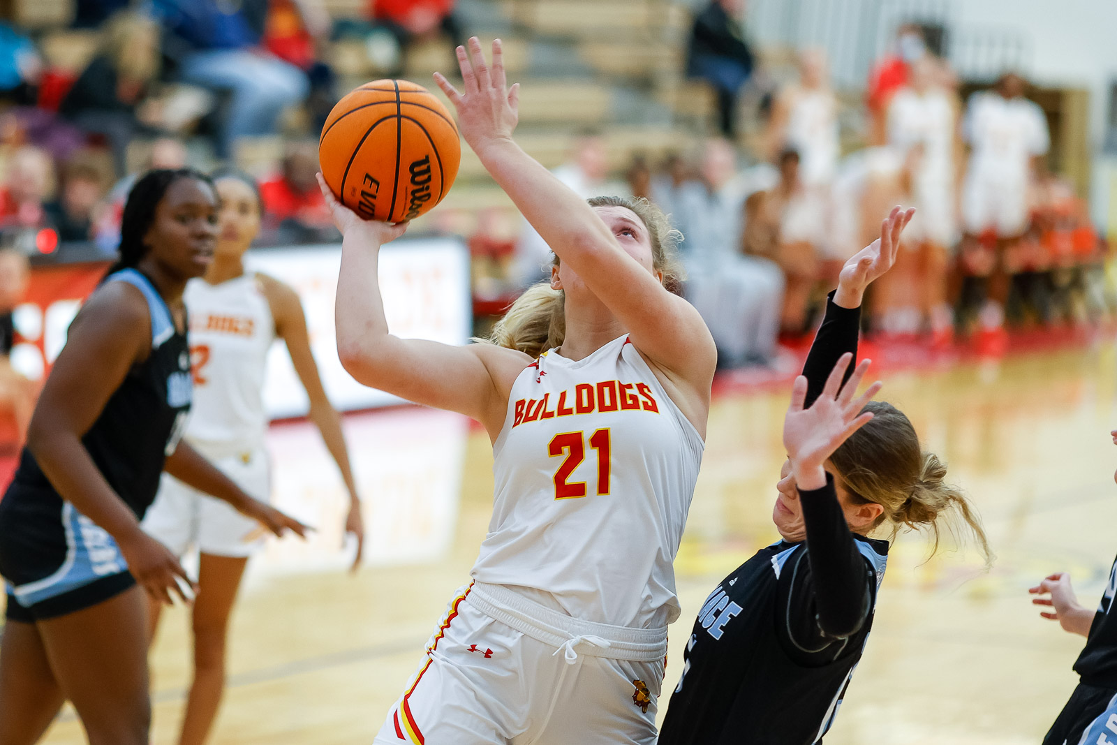 Ferris State Suffers First Conference Setback In Home Tilt At Wink Arena