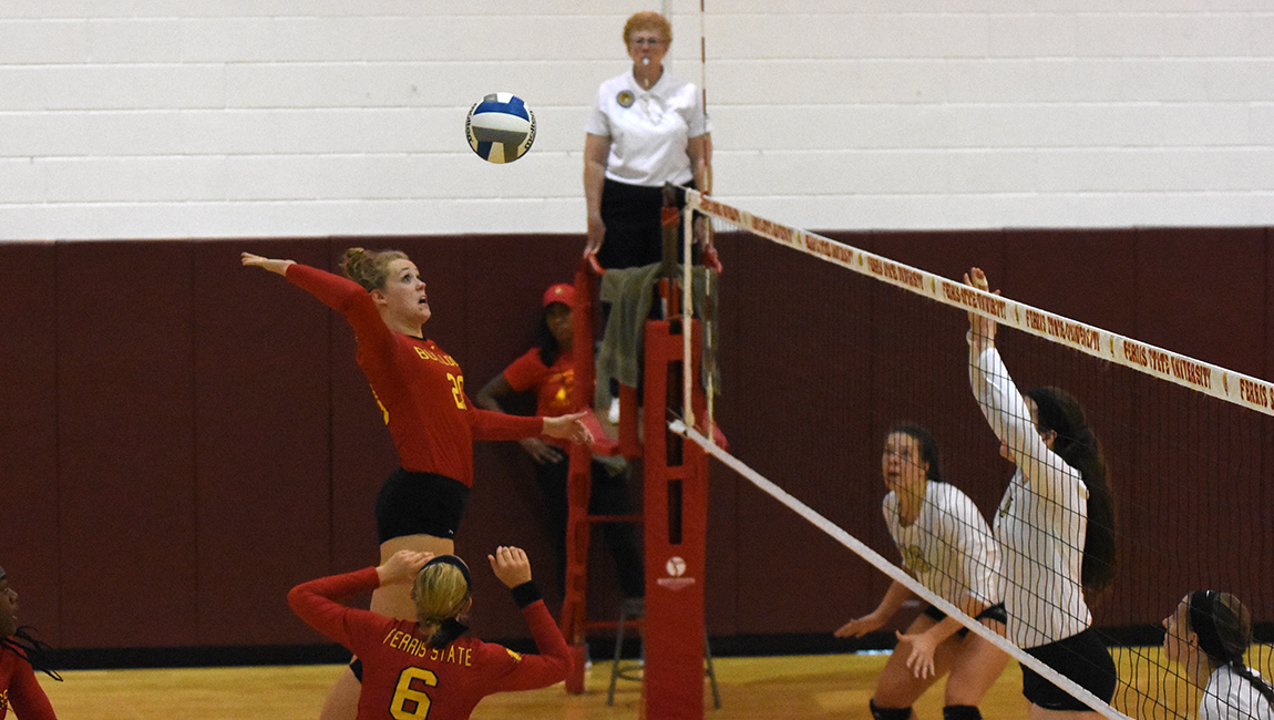 Bulldog Volleyball Sweeps Walsh In First GLIAC Home Action This Season